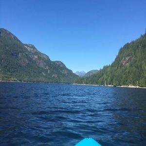 Meet your Posher, Kim